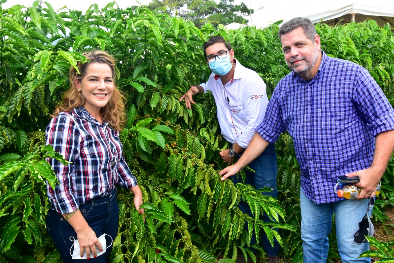  Mara e Rocha participam de dia de campo em Acrelândia e anunciam investimentos na construção de polos de beneficiamento do café